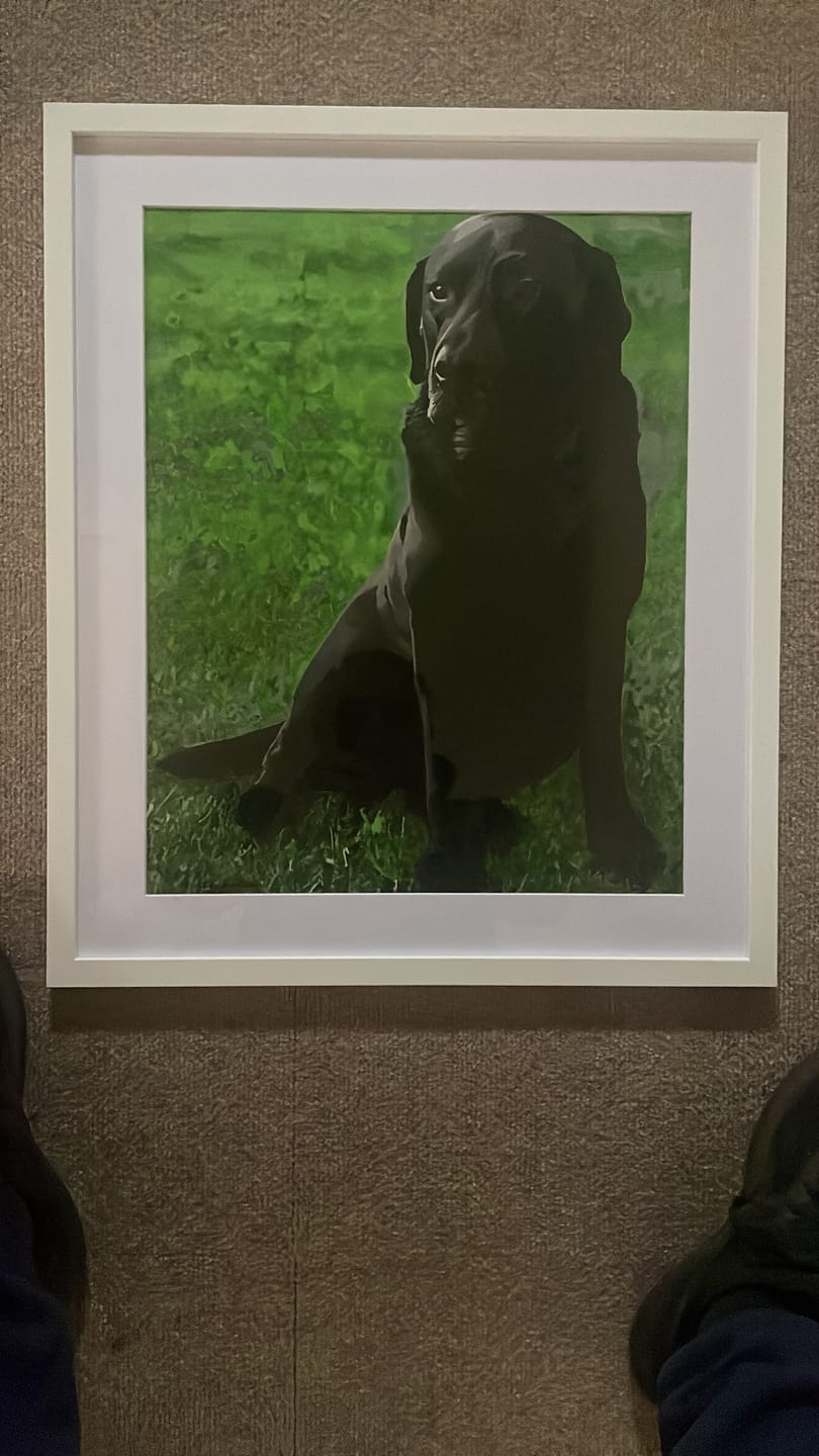 Customer photo review of Custom Paint By Numbers