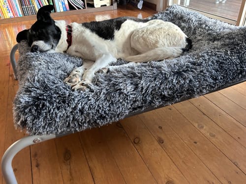 Customer's dog sleeping on a soft grey bed placed on top of the Outdoor Dog Bed, seen from the side.