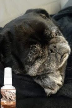 Customer photo review of Pet Probiotic Ear Care - 100ml Spray