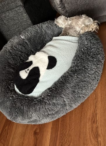 Karla S. review of Cama Antiestrés para Perros image 1 out of 3