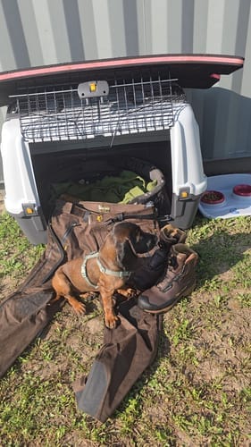 Customer photo review of Lightweight Hunting Pants - Waterproof AlphaShell 5WL