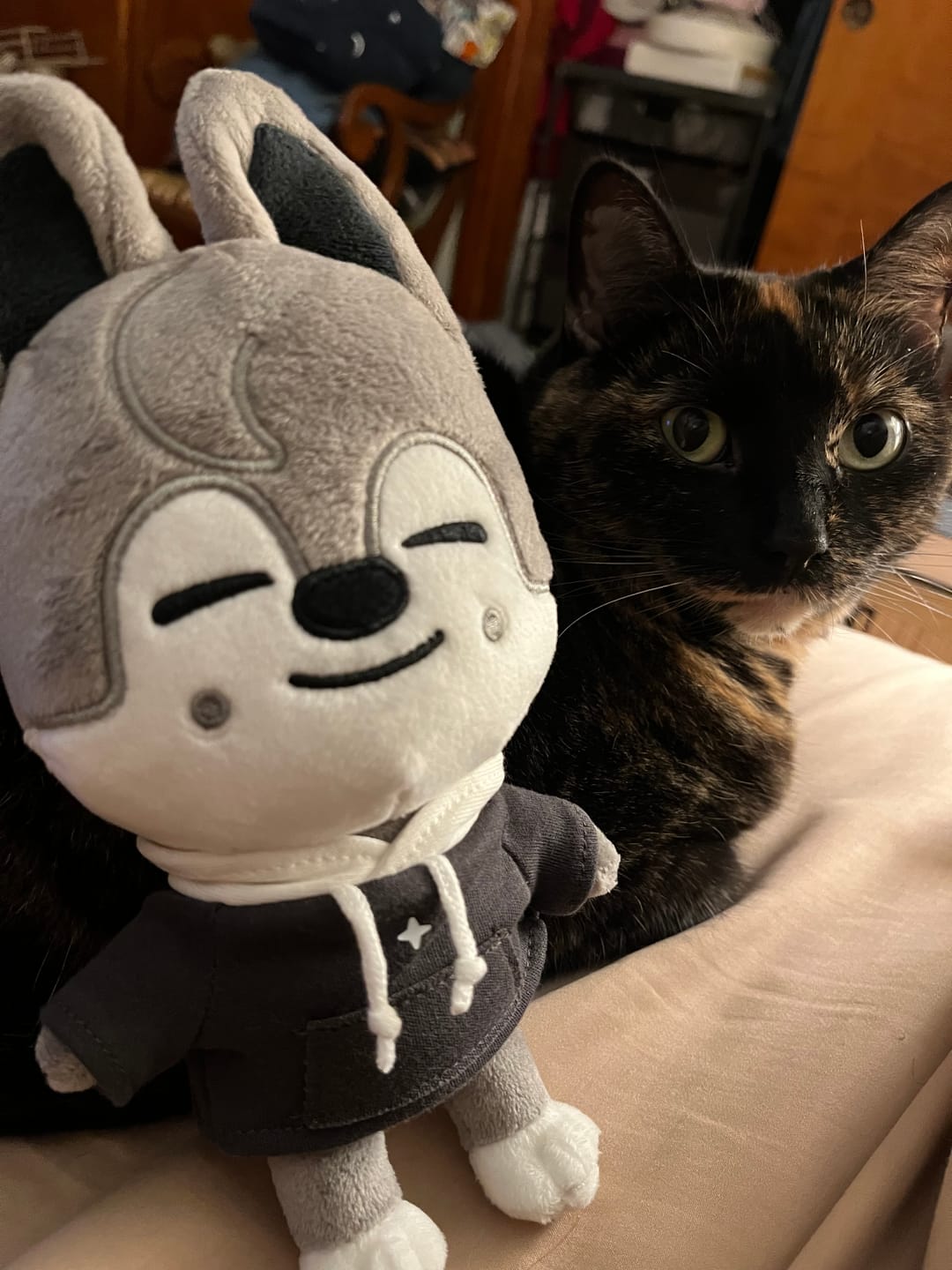 Customer photo review of STRAY KIDS - SKZ'S MAGIC SCHOOL OFFICIAL MD SKZOO PLUSH ORIGINAL VER.