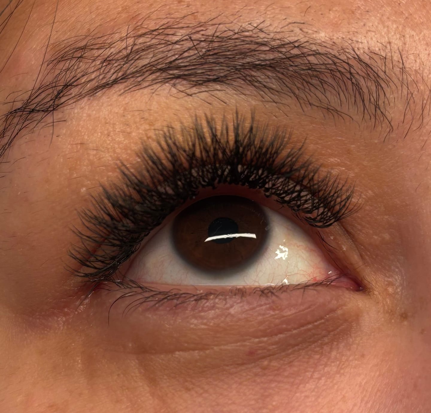 Customer photo review of Mixed W Lashes (36 rows)