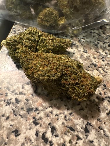 Customer photo review of Super Jack - Bulk- Hybrid