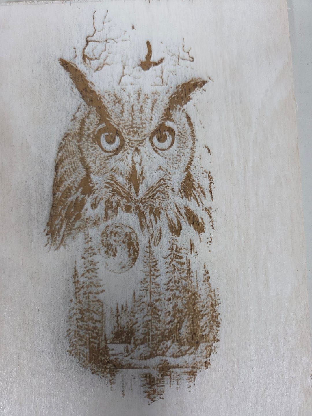 Customer photo review of TOOCAA L2 Desktop Laser Engraver & Cutter