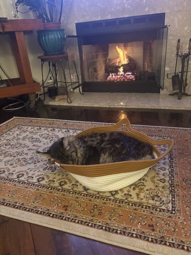 Customer photo review of Instinct Basket | Handwoven & Chemical-Free Cat Territory