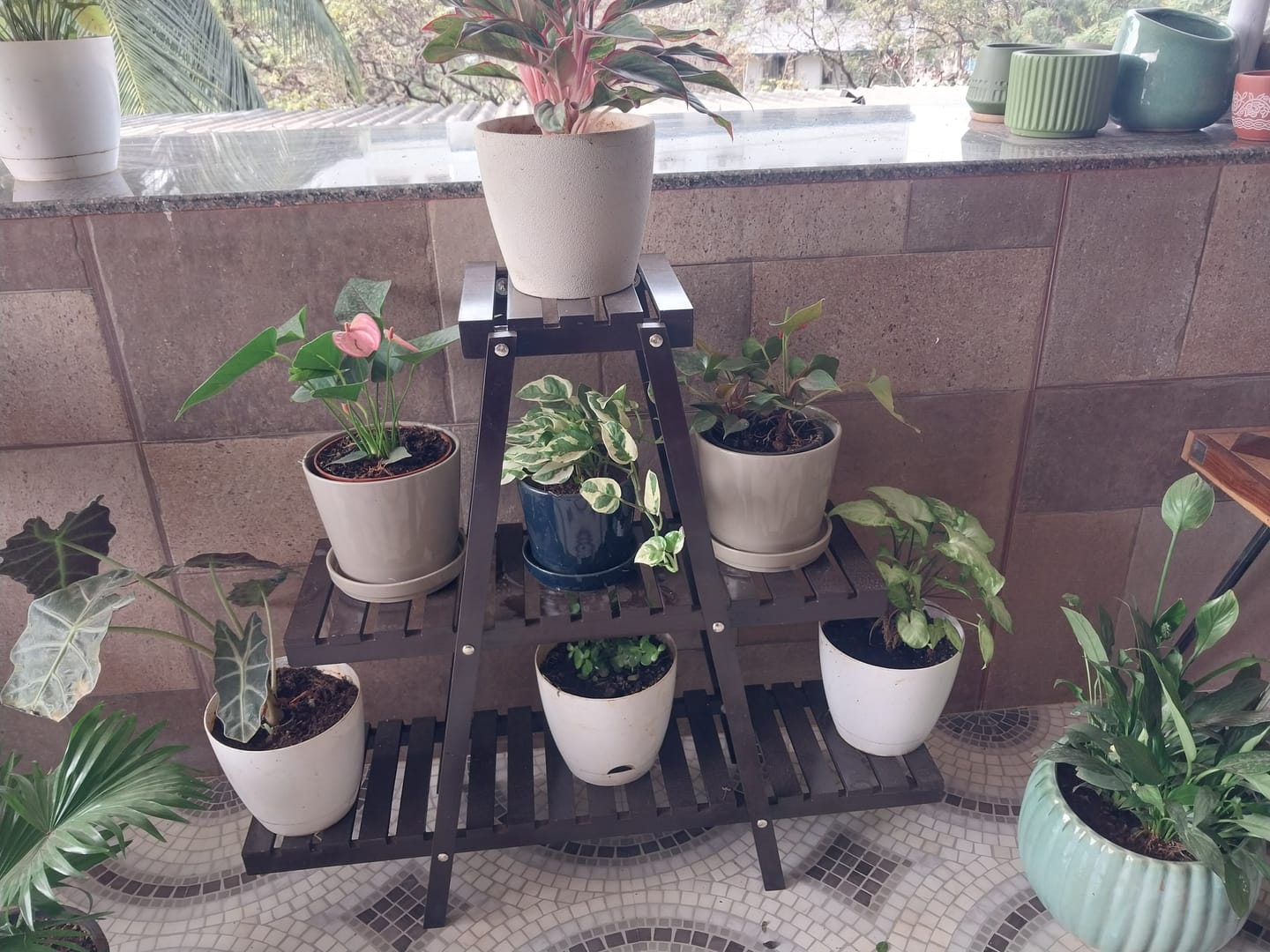 Customer photo review of 3-Tier Corner Plant Stand - Space-Saving Indoor Planter Shelf for Stylish Home Decor