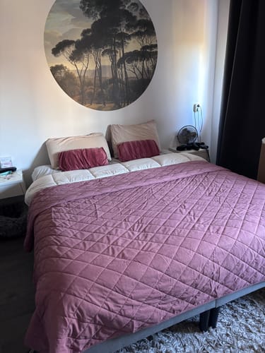 Willemijn V. review of Dekbed Zonder Overtrek Mat Satijn Sand image 1 out of 1