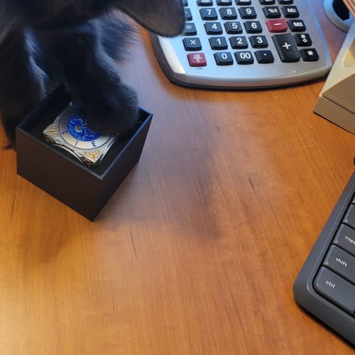 Customer photo review of Masters Dice Relic #000 – Class Legacy Spinner | 7 -in-1 Dual-Spinner Metal Dice