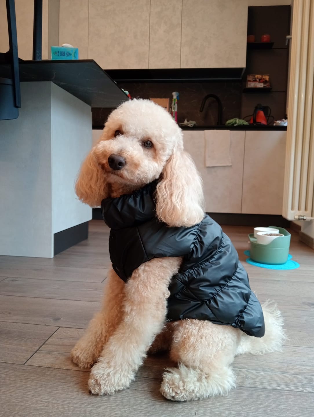 Customer photo review of Sweet Bomber
