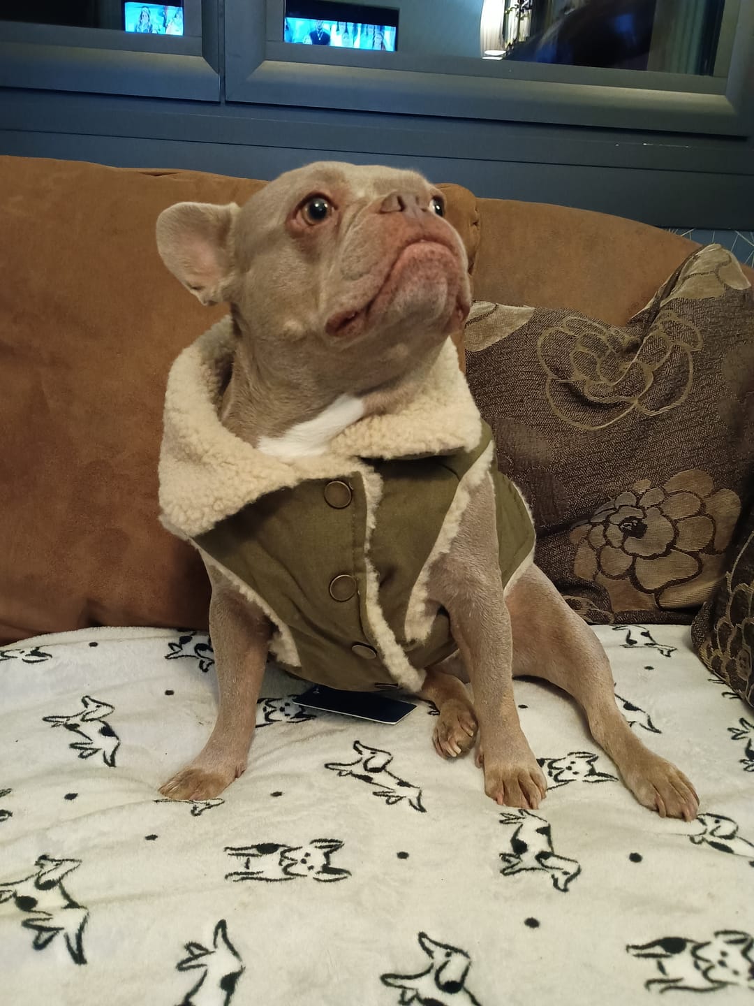 Customer photo review of Workdog Insulated Utility Jacket - Green