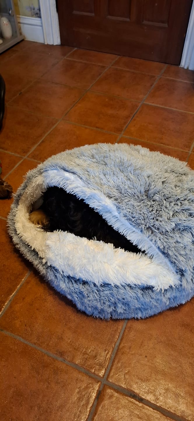 Customer photo review of Burrow Buddy™ - Pet Bed