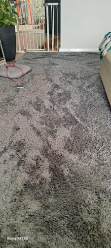 Customer's large charcoal grey Deluxe Shaggy Relax Mat laid out on a living room floor.