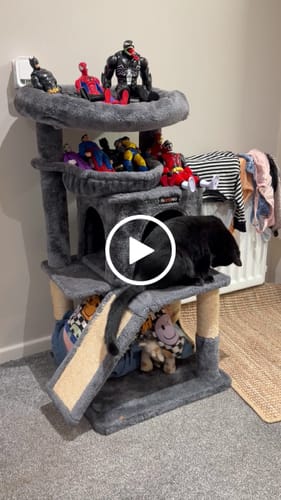 Customer video review of 3 Month Supply - 1 Cat