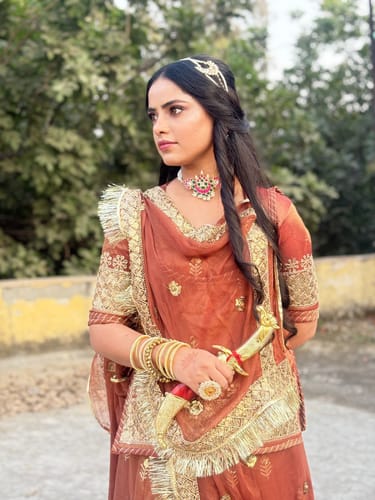 Customer photo review of Mocha Veil - Chikoo Colour Imported Net Poshak with Tora Odhna