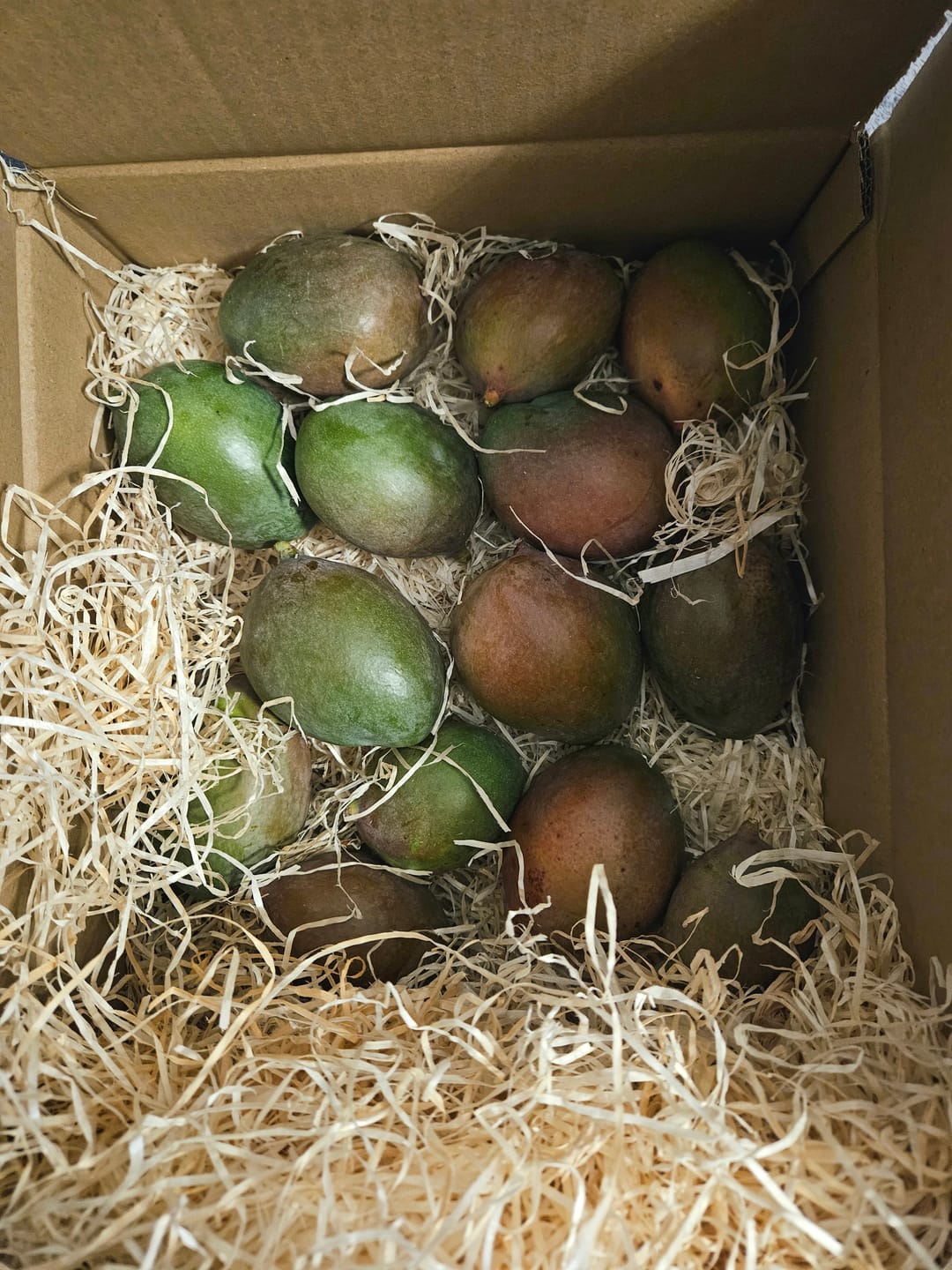 Customer photo review of Mini-Mango Keitt Bio Sonderpreis %
