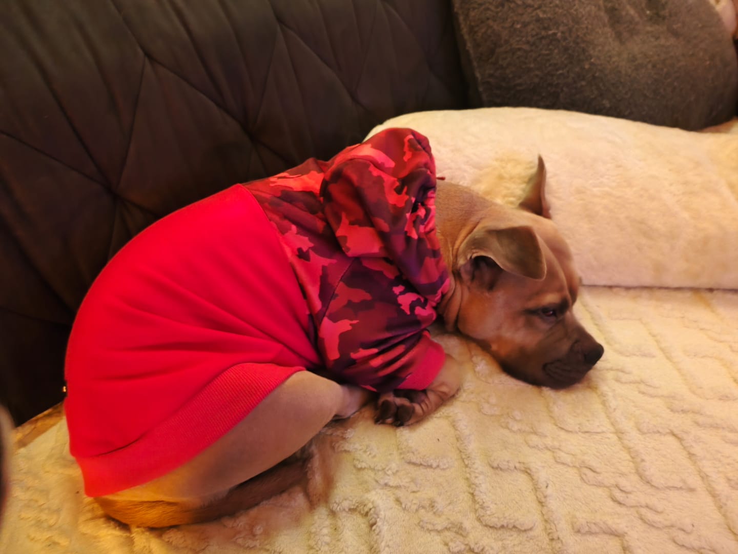 Customer photo review of Fuchsia Camo Human Hoodie