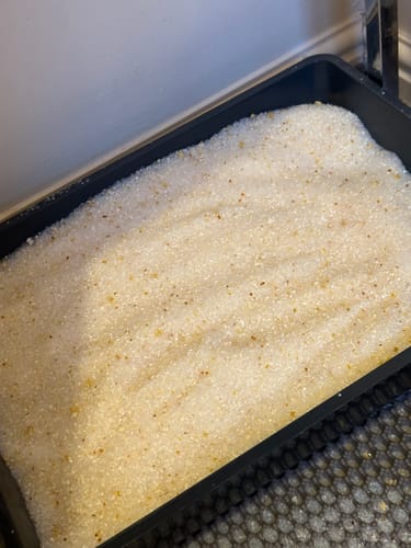 Customer photo review of 1 Month Supply – 1 Cat