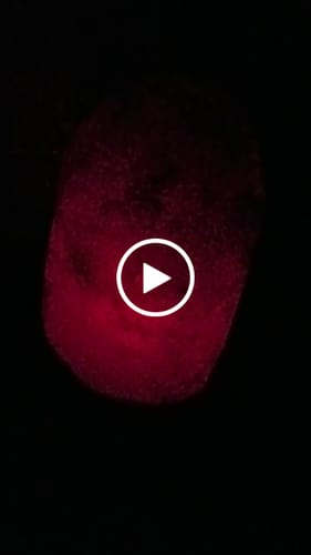 Customer video review of Natural Pink Himalayan Salt Lamp 9-11 Lbs