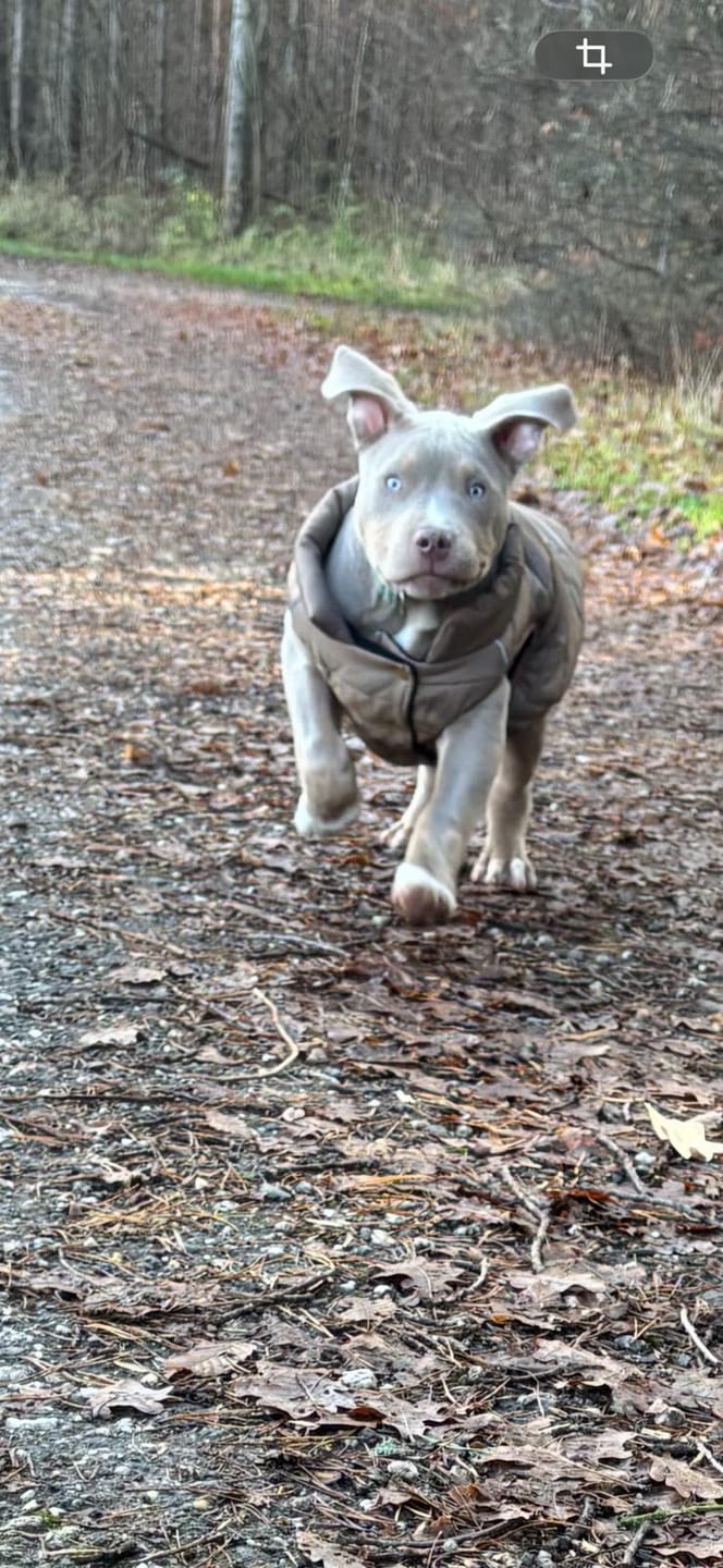 Customer photo review of WarmShield Water-Resistant Jacket - Tan