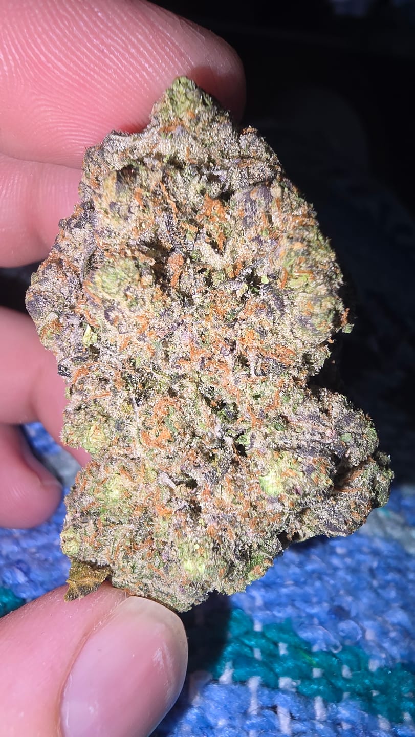 Customer photo review of Blue Dream THCA Flower