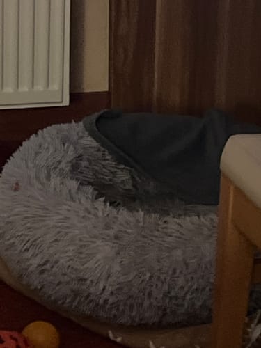 Customer photo review of Puppery Hundebett Wolke 7 - Das Original