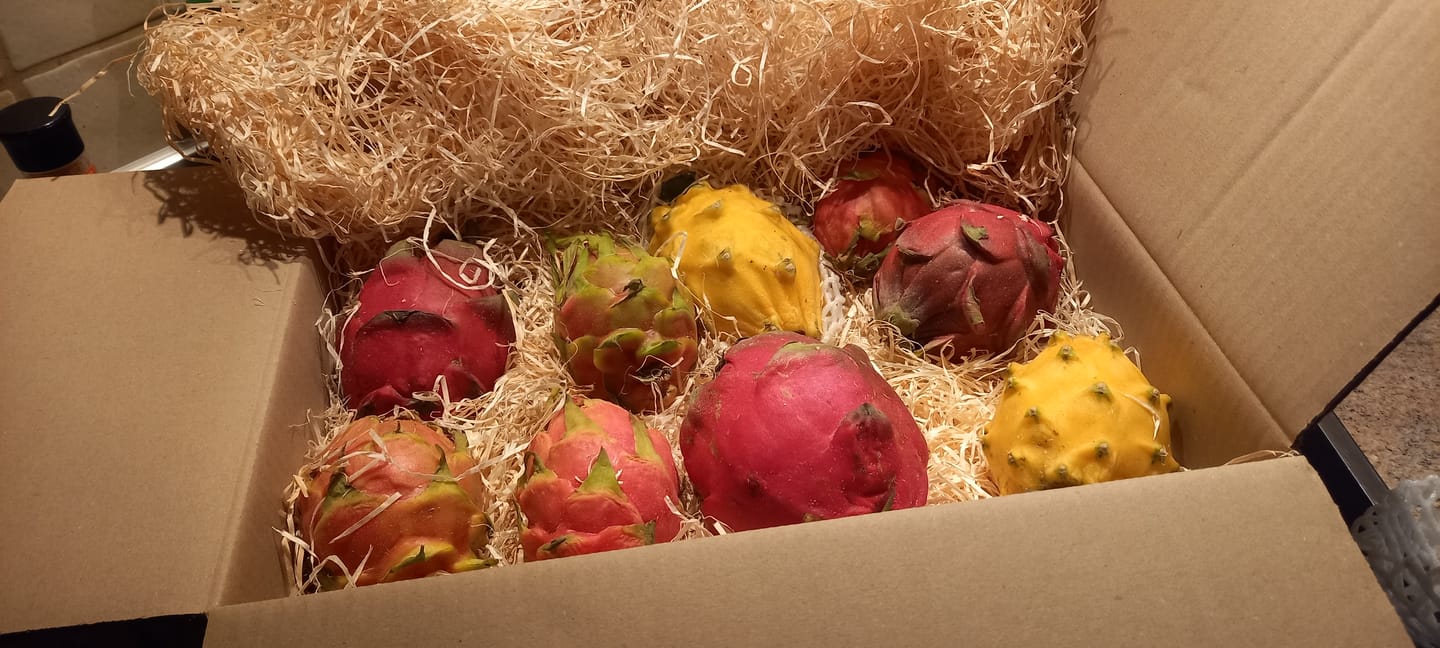 Customer photo review of Drachenfrucht Mix bunt Aktionswoche