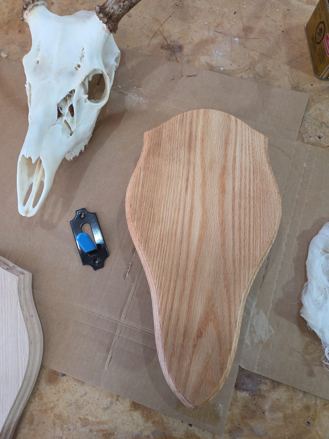 Customer photo review of Award / Taxidermy Mount Plaque Style 4 (Euro Deer) - Acrylic Router Template