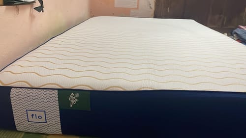 Sujeevan T. review of The Flo Mattress Ergo image 1 out of 1