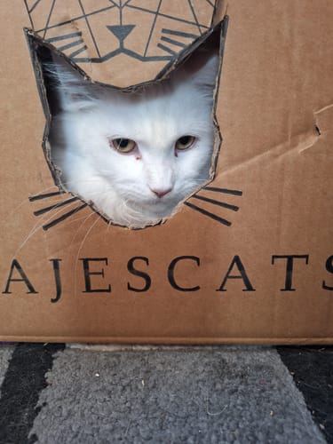 Stefanie T. review of Naturreines Katzenstreu image 1 out of 1