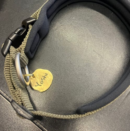 Fee M. review of Extravagante Vintage Hundemarke mit Gravur personalisiert, Material Messing, 25mm image 1 out of 1