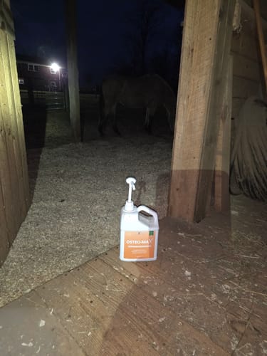 Customer's Osteo-MAX supplement jug on a barn floor at night, with their horse visible in the background.