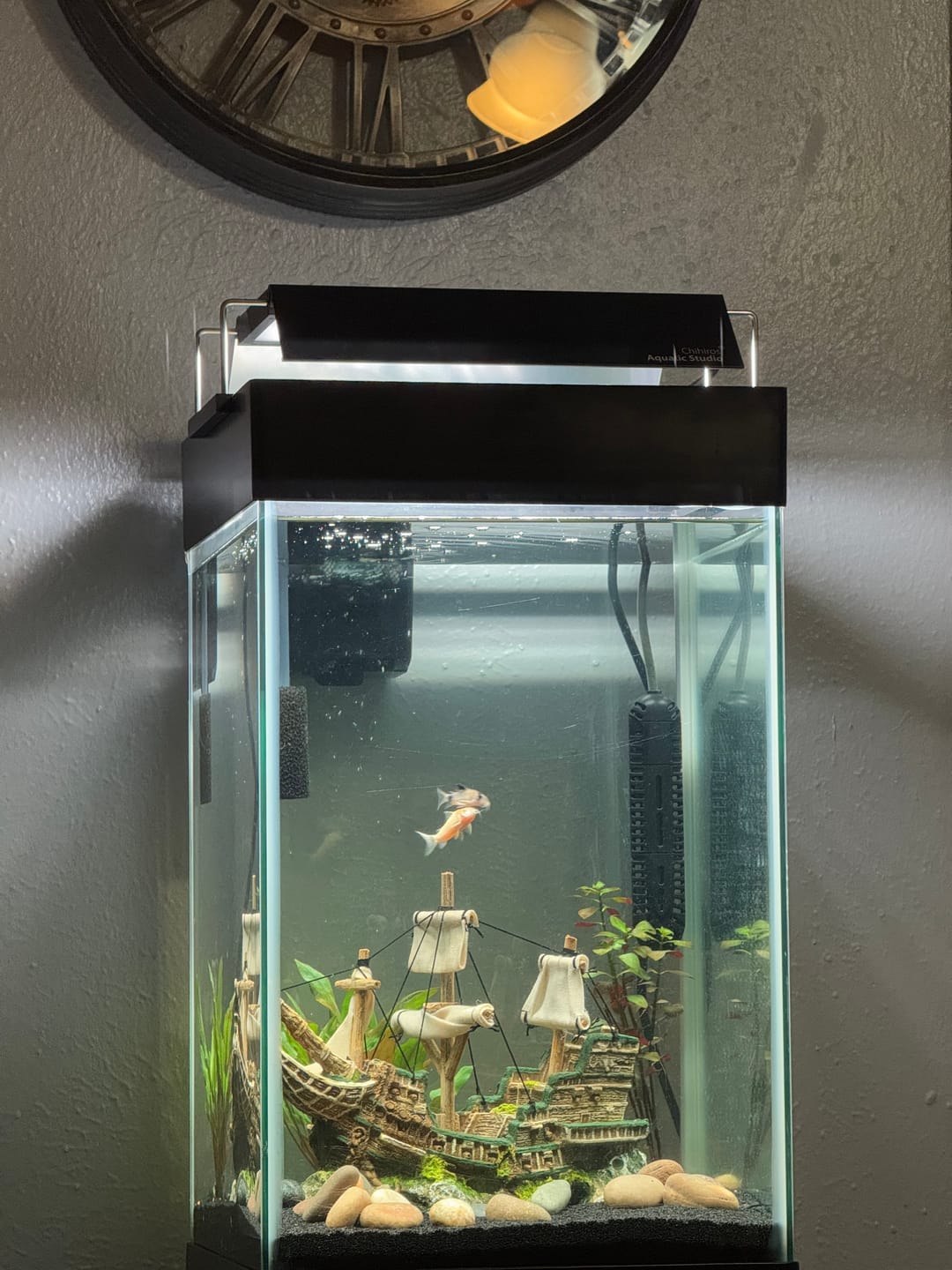 Customer photo review of Chihiros WRGB II Pro LED Light