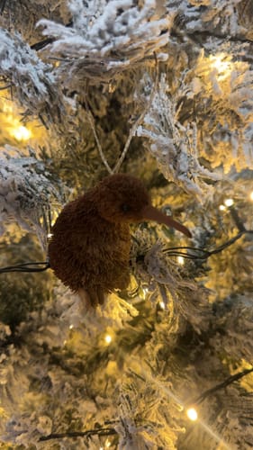 Customer photo review of Brush Hanging Kiwi Bird Xmas Ornament