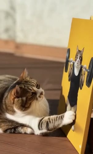 Customer photo review of Artzuzu Custom Portrait For Pets - The Powerlifter