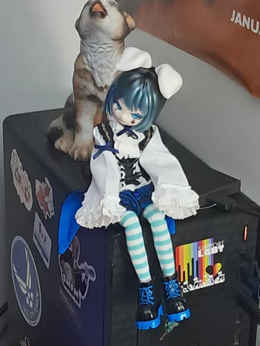 Customer photo review of UF Doll Drink Series Blueberry Yogurt 1/6 BJD Limited Action Figure