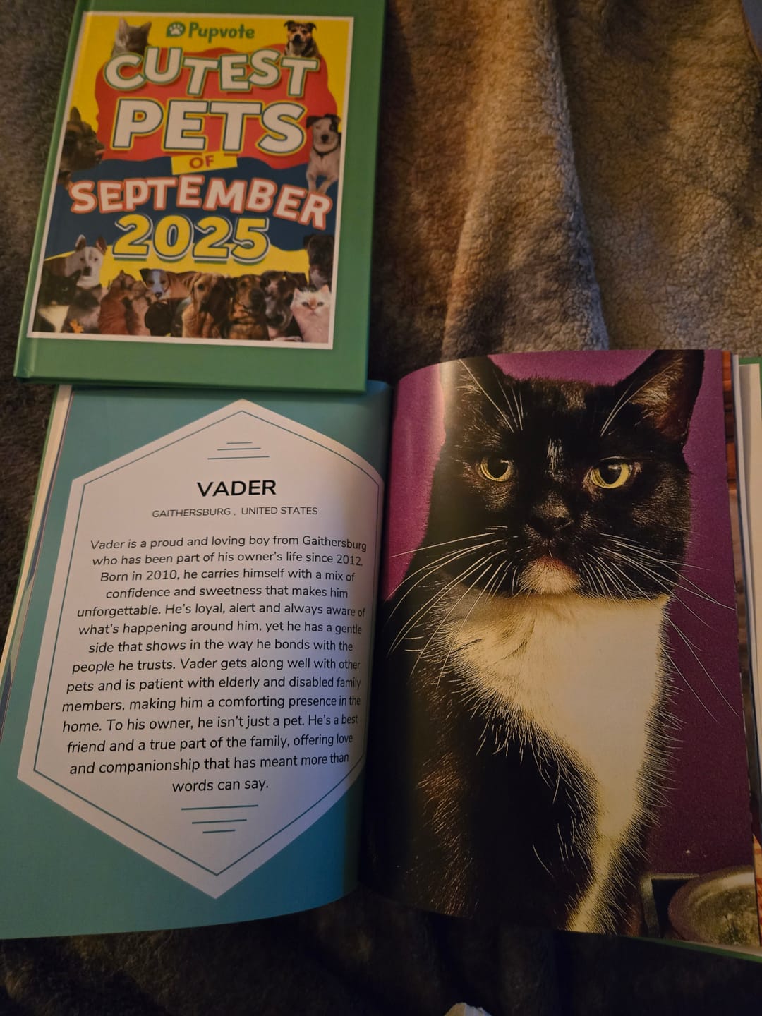 Customer photo review of Be a Cover Model