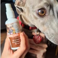 Customer photo review of Pet Probiotic Dental Care - 100ml Spray