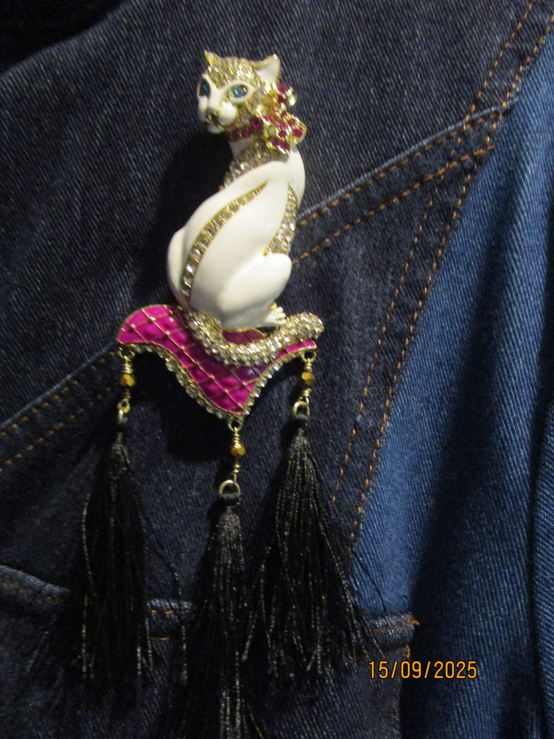 Customer photo review of HEIDI DAUS®"Sophisti-Cat" Crystal & Enamel Cat Pin