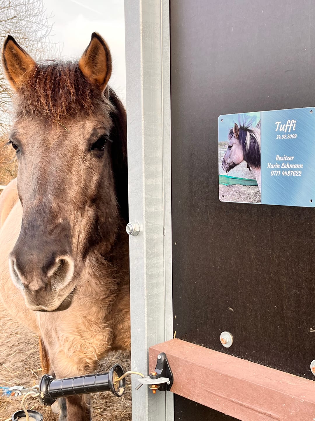 Customer photo review of Pferde Boxenschild mit Foto & Wunschtext (UV- und wetterfest)