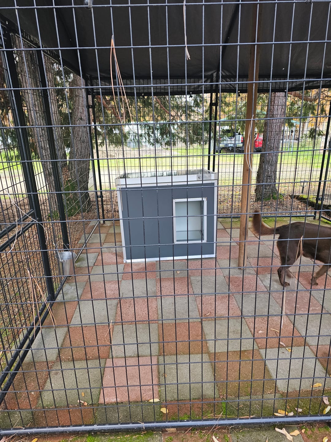 Customer photo review of CozyCube Coldroom Panel Insulated Dog House