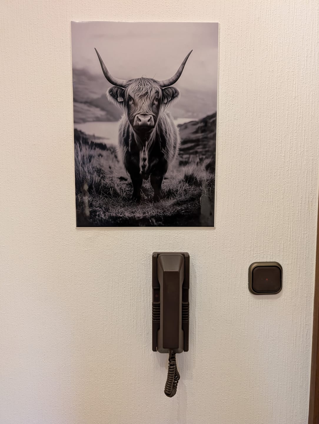 Customer photo review of Tiere: Highland Spirit
