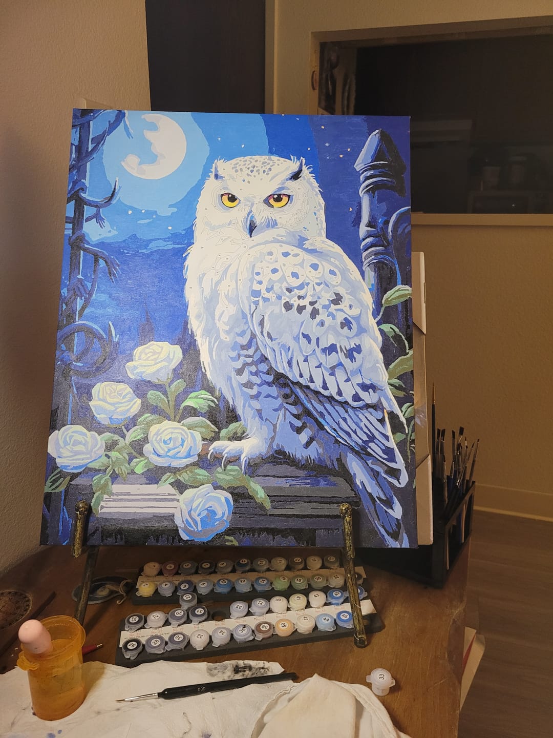 Customer photo review of Snowy Owl