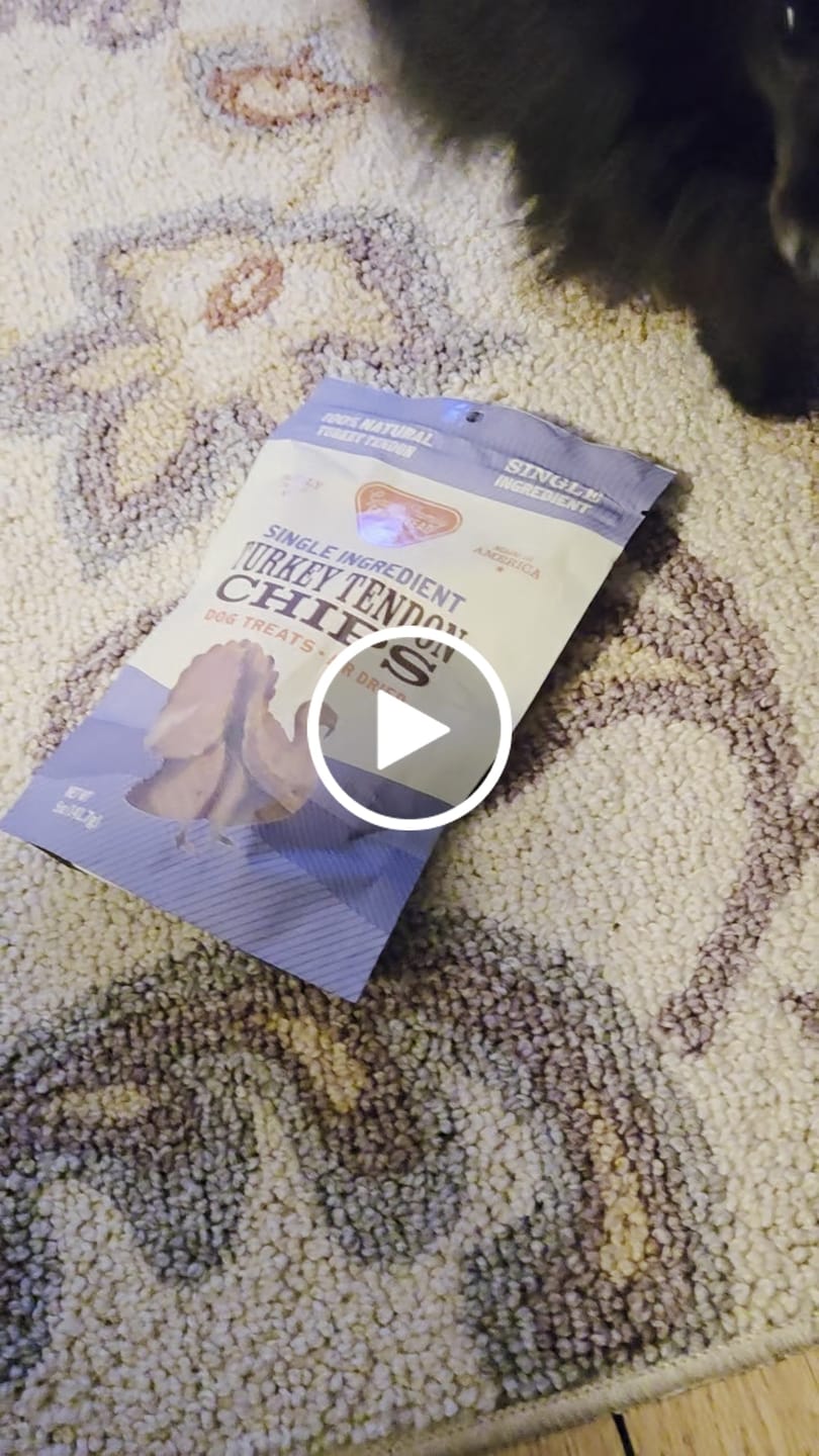 Customer video review of Turkey Tendon Chips