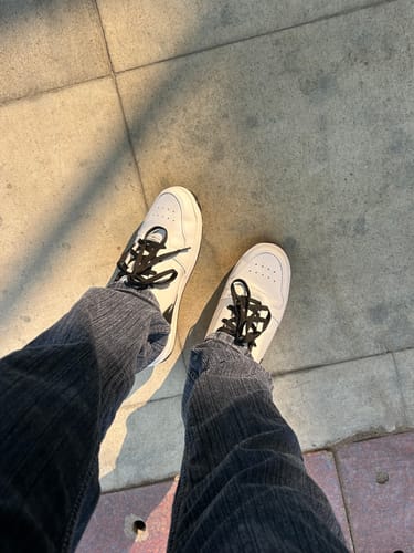 Customer photo review of MILO Polar Night