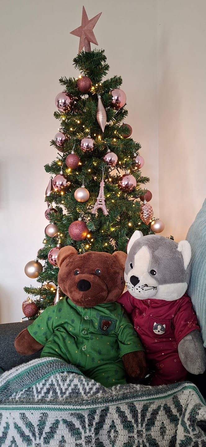 Customer photo review of Kat Kerstkleding Lotgenootje