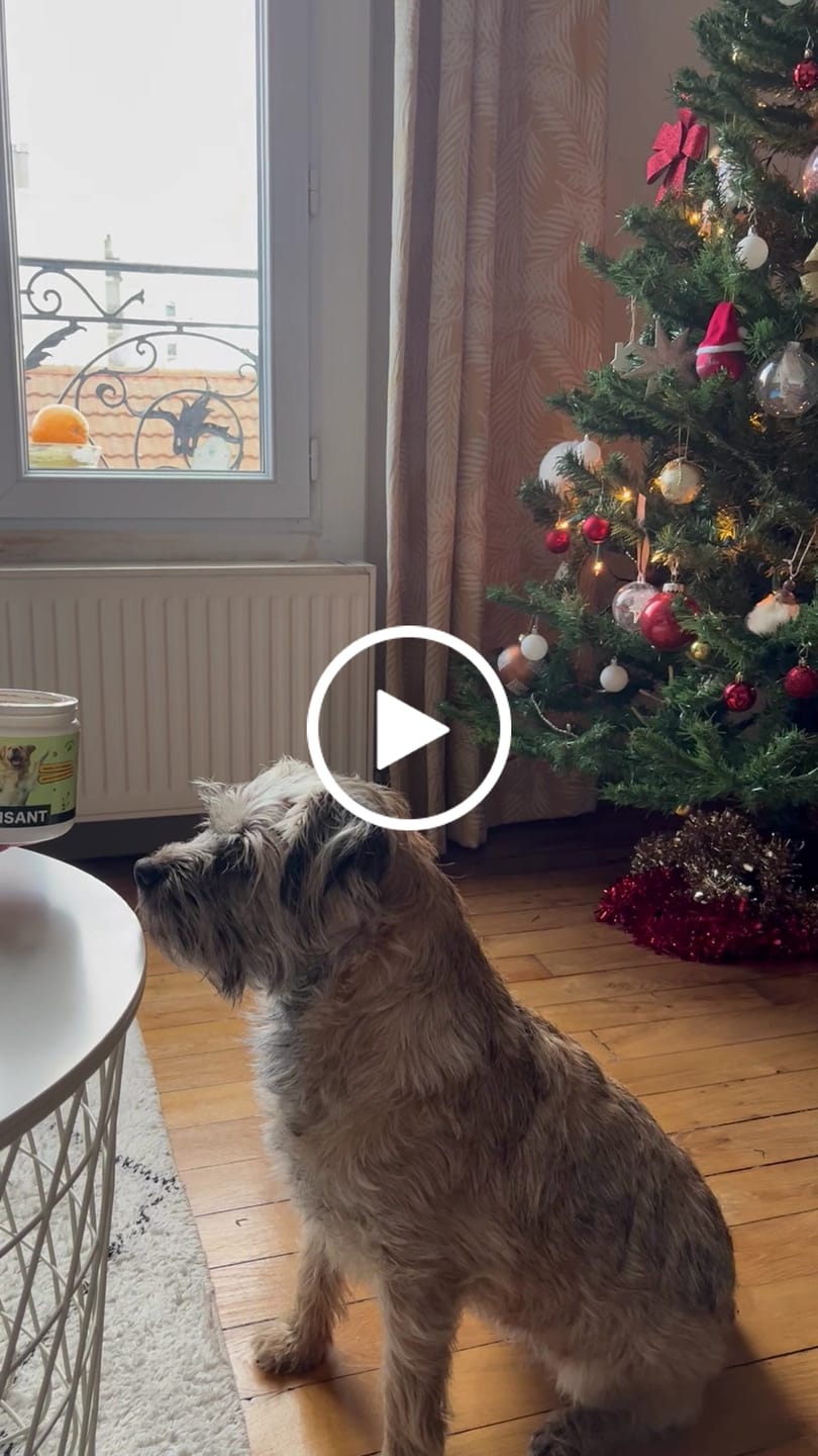 Customer video review of Friandises Naturelles Apaisantes