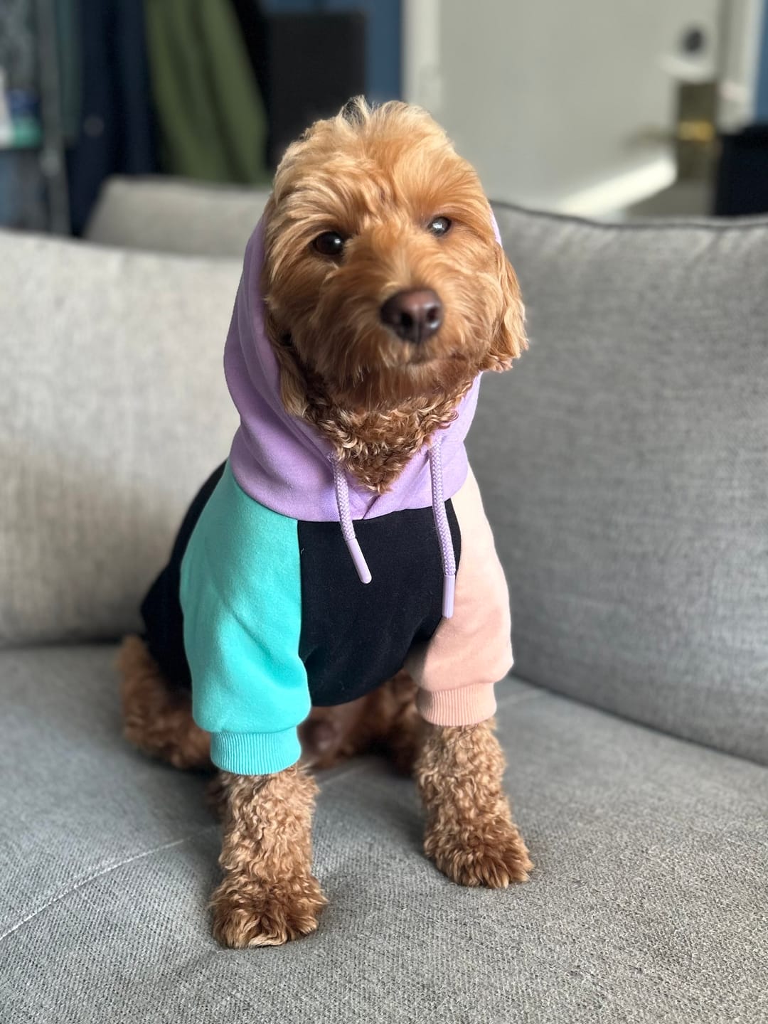 Customer photo review of Cyber Punk Human Hoodie
