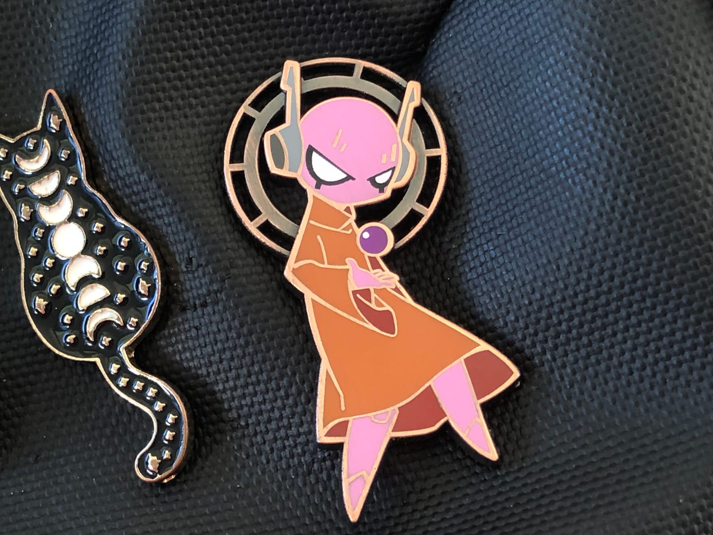 Customer photo review of Rain World - Random Synthetic God Pin