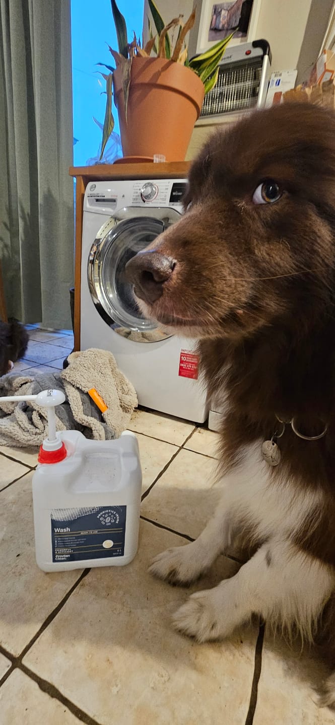Customer photo review of Probiotic Laundry Detergent ('Wash')
